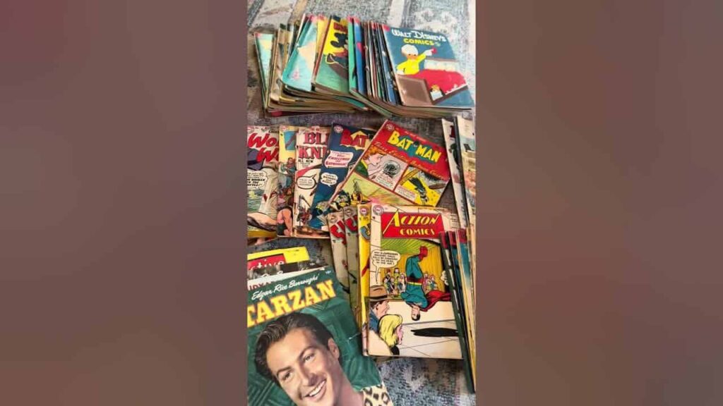 A diverse collection of vintage comic books including Disney, Tarzan, and DC Superheroes from a recent Florida estate purchase.