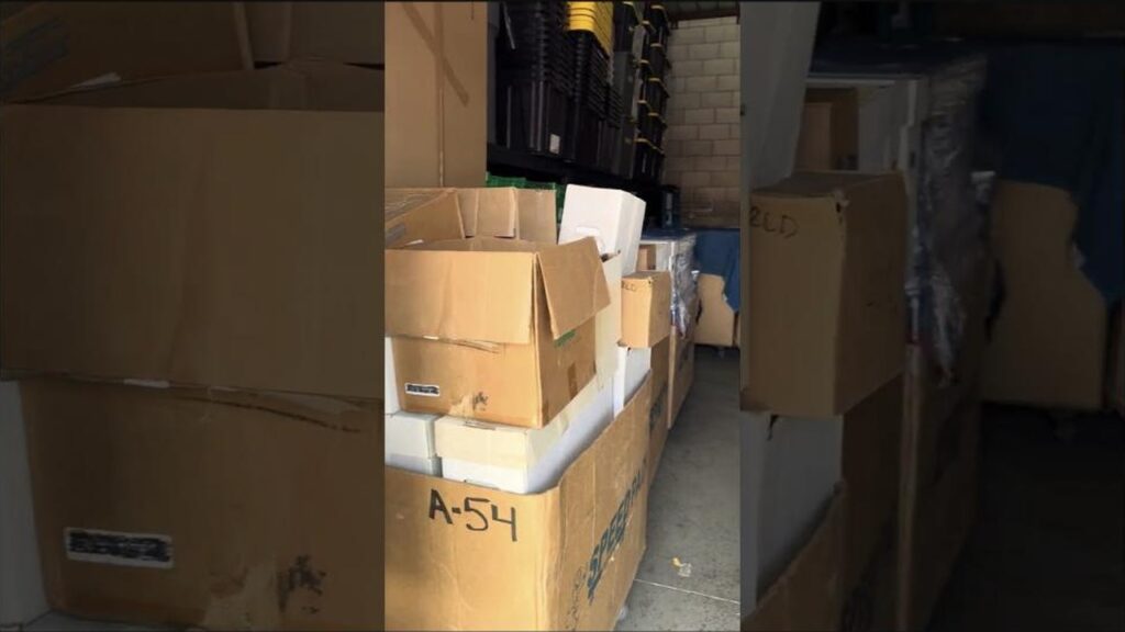 Selling a massive vintage book and magazine collection - boxes of a large estate archive being processed for liquidation in Los Angeles